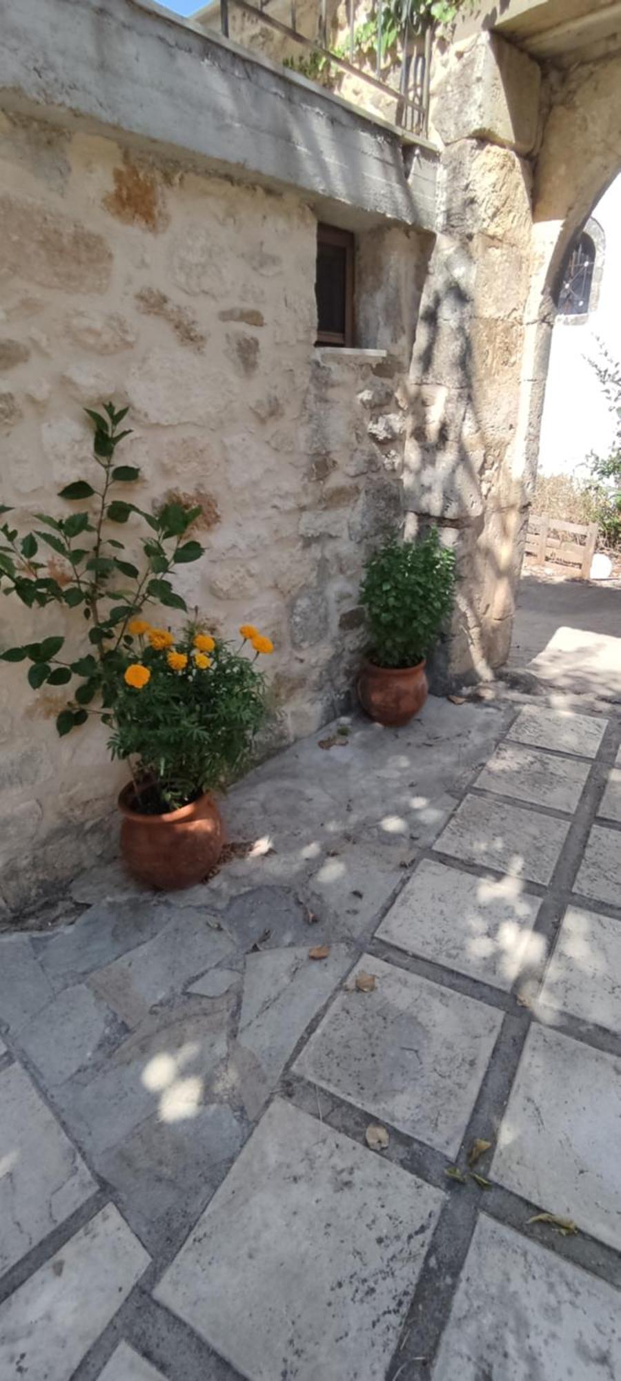 Villa Sofita With Tzakouzi Maroulás Dış mekan fotoğraf